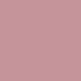 Pink Salmon 