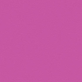 Fuschia