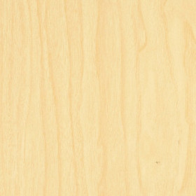 Birch