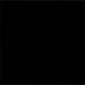 Black Anti-Fingerprint 
