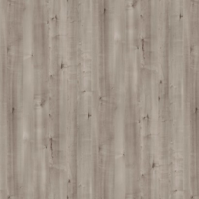 Grey Birch