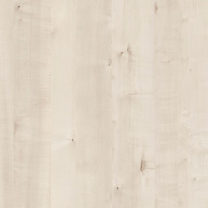 White Birch