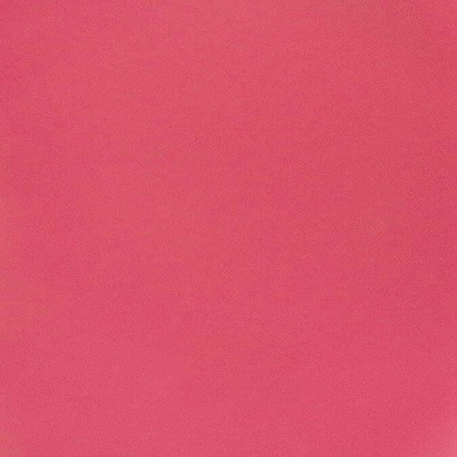 Pink Rose